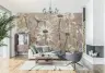 Elegant Cream Daisy Floral Wallpaper Mural 8