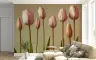 Graceful Pink Tulip Garden Wall Mural 8