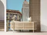 Empire State Building Cityscape Wall Mural 8