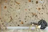 Whimsical Woodland Animals and Birds Wall Mural 8