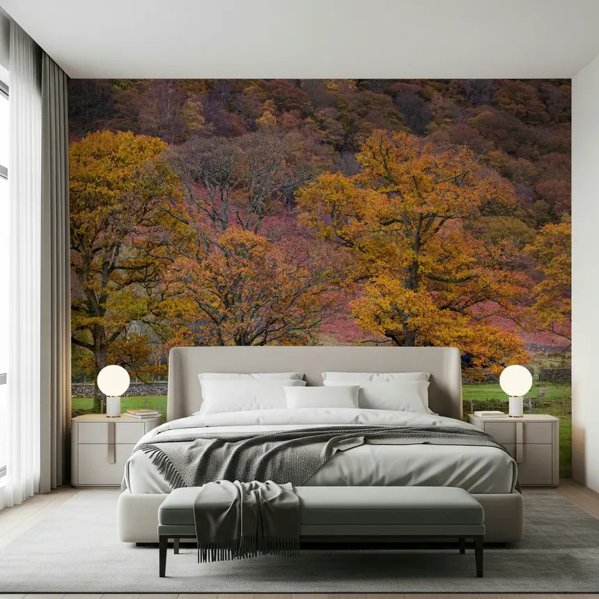 Fall Foliage Retreat Wall Mural
