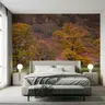 Fiery Autumn Trees Stone Wall Landscape Wallpaper 6