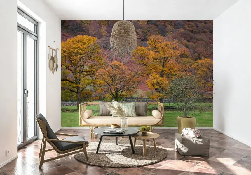 Fall Foliage Retreat Wall Mural