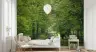 Lush Green Forest Path Scenic Wall Mural 6