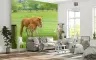 Mother Horse and Foal Green Pasture Wall Mural 6