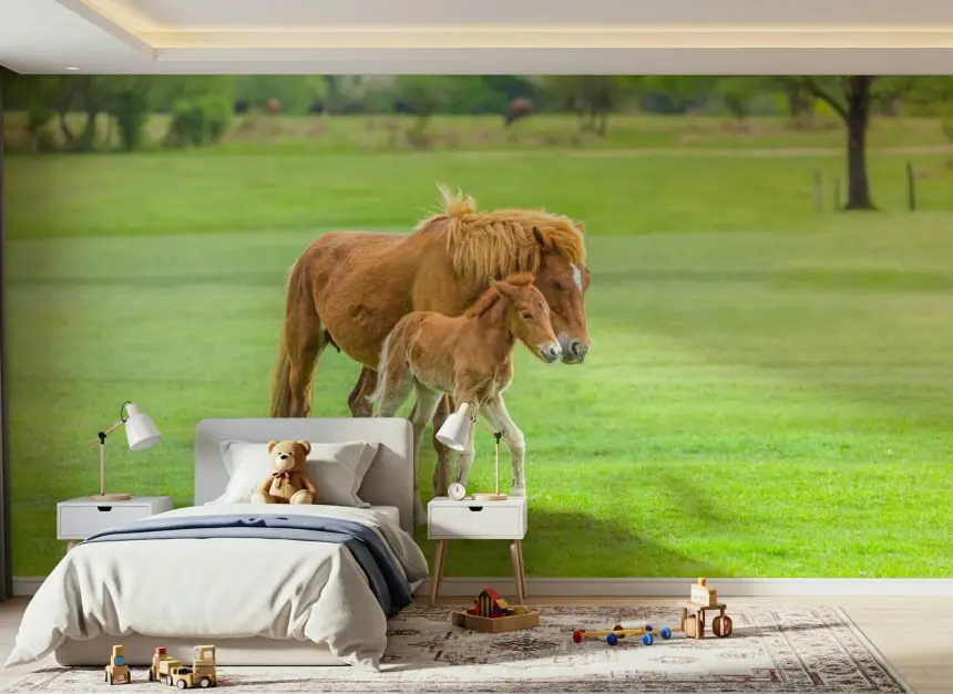 Foal's First Steps Wall Mural