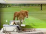 Mother Horse and Foal Green Pasture Wall Mural 7