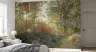 Sunlit Woodland Forest Wall Mural 7