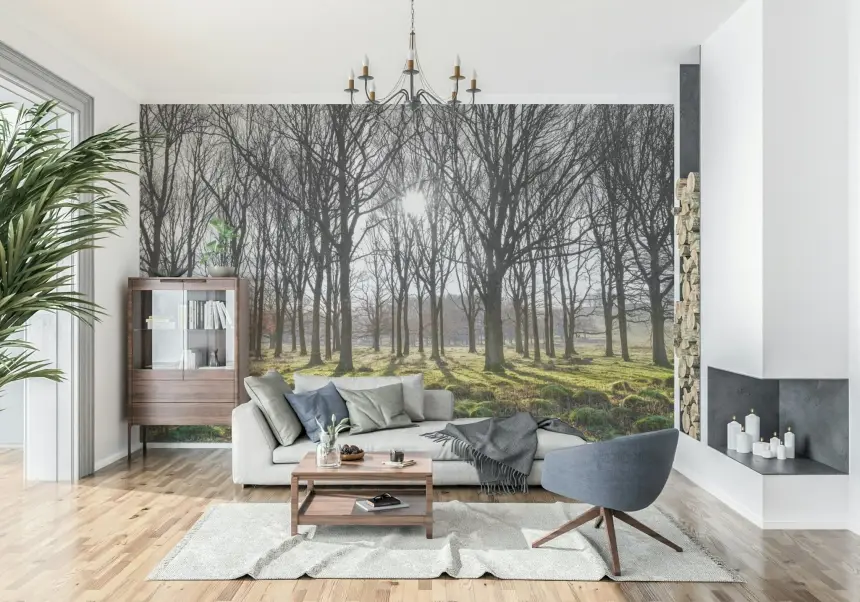 Forest Illumination Wall Mural