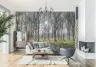 Sunlit Bare Trees Forest Wall Mural 8