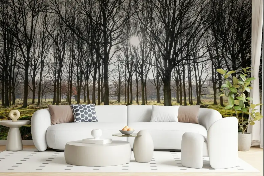 Forest Illumination Wall Mural