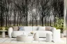 Sunlit Bare Trees Forest Wall Mural 7