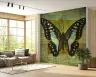 Emerald Teal Butterfly Antique Text Wallpaper 7