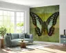Emerald Teal Butterfly Antique Text Wallpaper 8