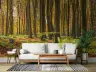 Golden Autumn Forest Scenic Wall Mural 6