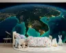Earth's Night View City Lights Wall Mural 6