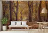 Serene Golden Autumn Forest Wall Mural 8