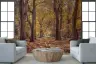 Serene Golden Autumn Forest Wall Mural 7