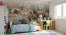 Wild Horses in Misty Landscape Wall Mural 7