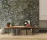 Craggy Grey Green Lichen Rock Wall Mural 8