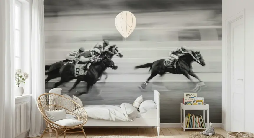 The Thrill of the Race Wall Mural -2317041