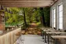 Sunlit Forest Path by Green Lake Wall Mural 6