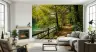 Sunlit Forest Path by Green Lake Wall Mural 8