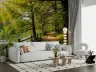 Sunlit Forest Path by Green Lake Wall Mural 7