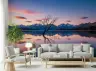 Iconic Wanaka Tree Lake Sunset Wall Mural 5