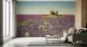 Purple Haze Lavender Field and Ancient Ruins Wallpaper 7