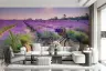 Sunrise Lavender Field Bicycle Wall Mural 6