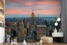 Manhattan Dawn Cityscape Wall Mural 8
