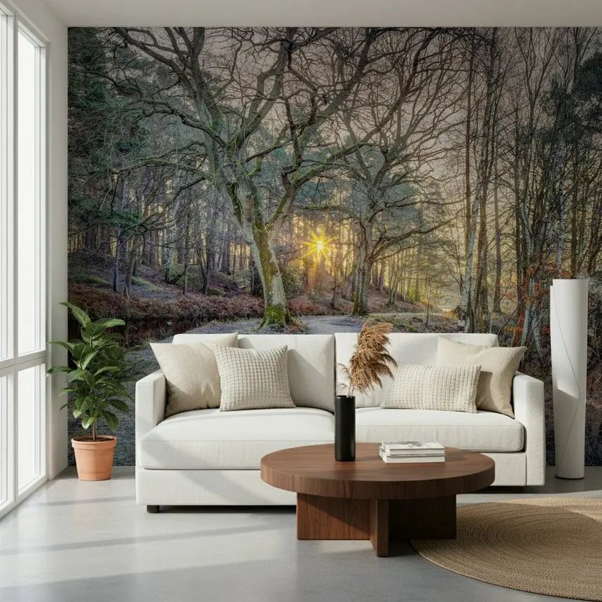 Misty Woodland Glare Wall Mural