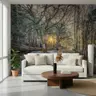 Frosted Woodland Path Sunrise Wall Mural 6