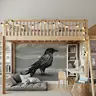 Artistic Sketch Crow Wall Mural 7