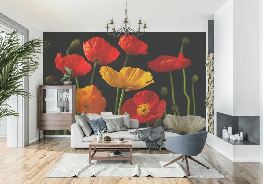 Multicoloured Poppies Wall Mural