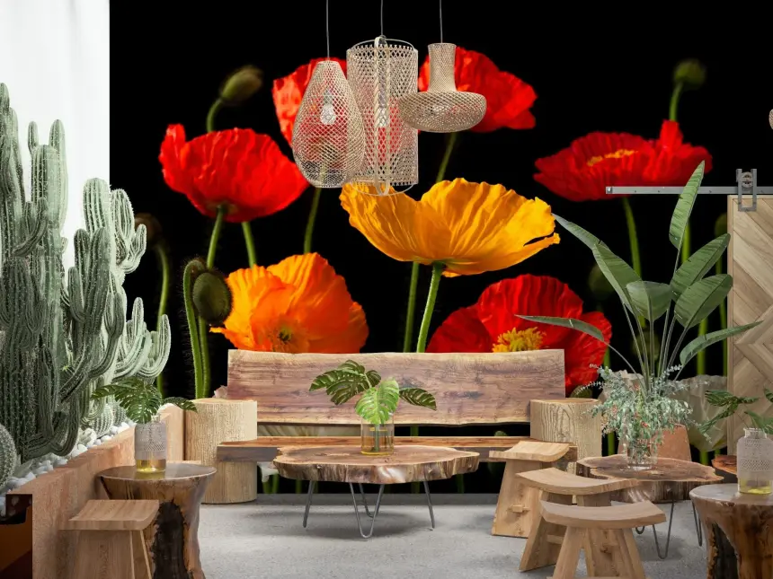 Multicoloured Poppies Wall Mural