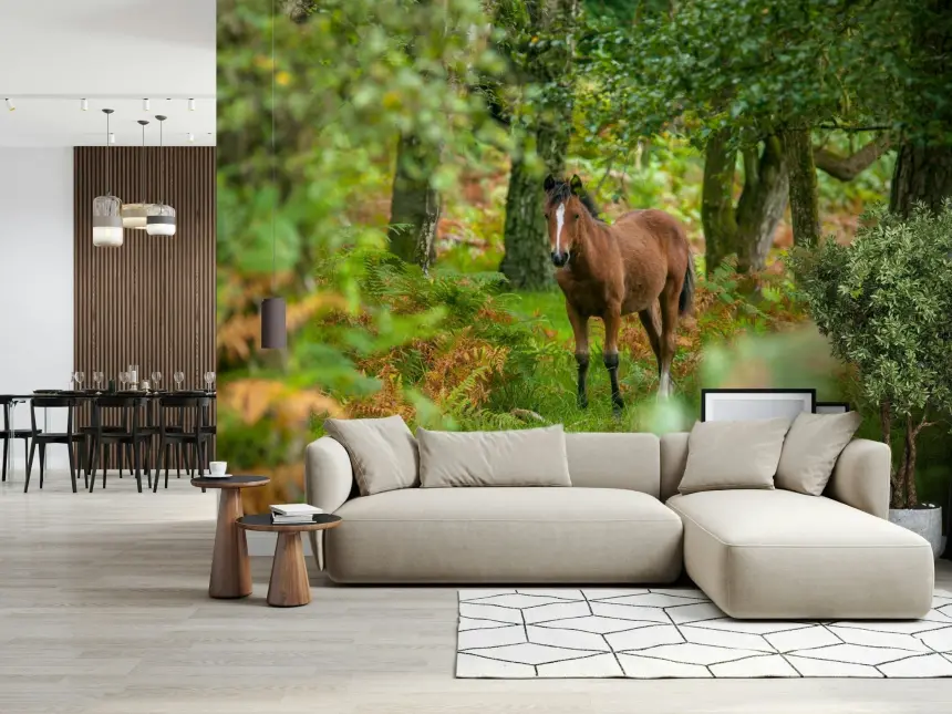 New Forest Nomad Wall Mural