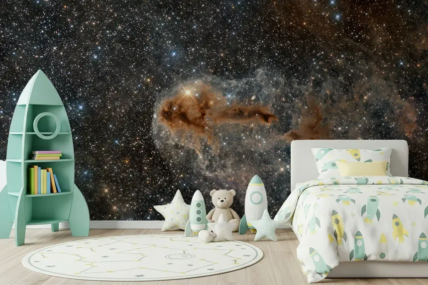 Night Sky Canvas Wall Mural -2318114