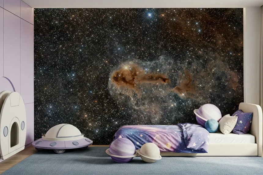 Night Sky Canvas Wall Mural -2318114