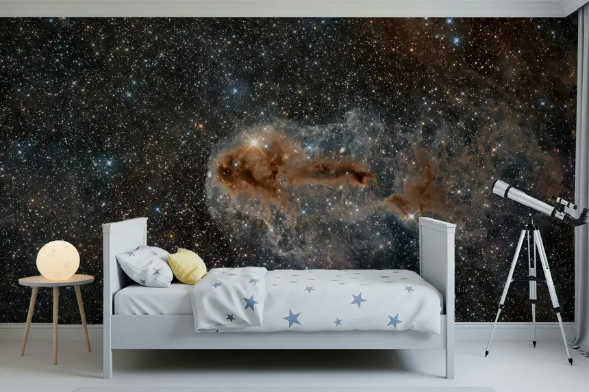 Night Sky Canvas Wall Mural -2318114