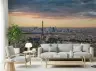 Eiffel Tower Golden Hour Cityscape Wallpaper Mural 7