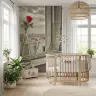 Romantic Parisian Rose Window Wall Mural 8