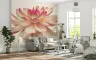 Soft Pink Dahlia Blossom Floral Wall Mural 8
