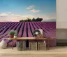 French Lavender Rows Horizon Wallpaper Mural 6