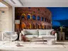 Colosseum Night Wall Mural 8