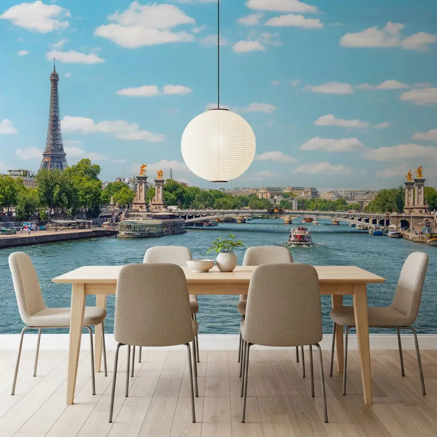 Seine Reflections Wall Mural