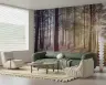 Misty Pine Forest Sunlight Wall Mural 8