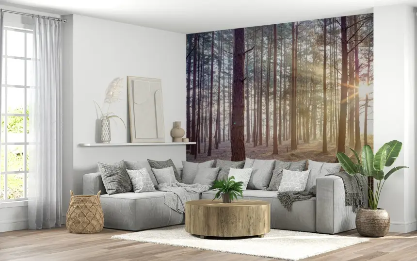 Shrouded in Mystery Wall Mural