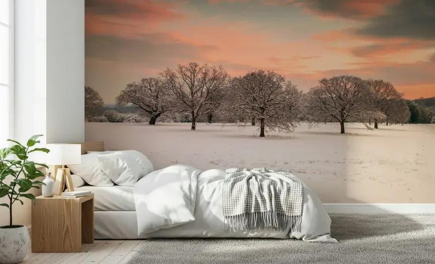 Snow Covered Field Wall Mural